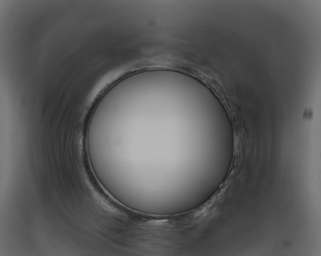 X0000093410054200710120924