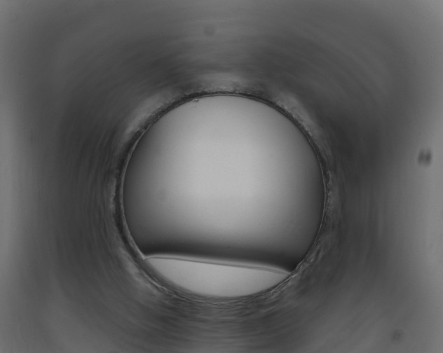 X0000093410058200710120924