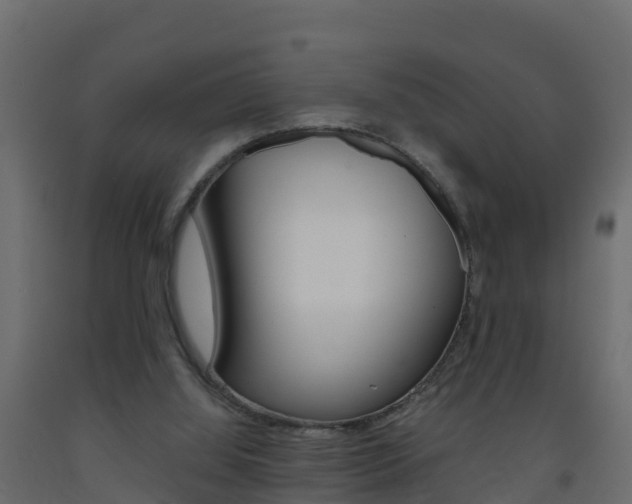 X0000093410060200710120924