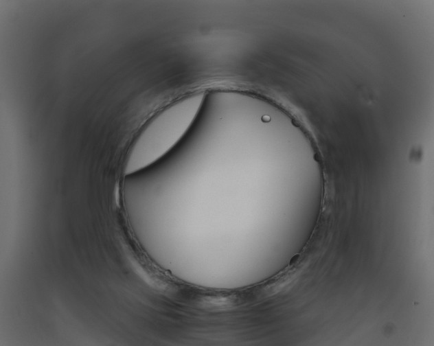 X0000093410061200710120924