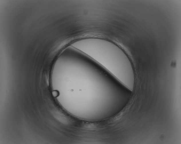 X0000093410062200710120924
