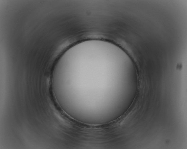 X0000093410063200710120924