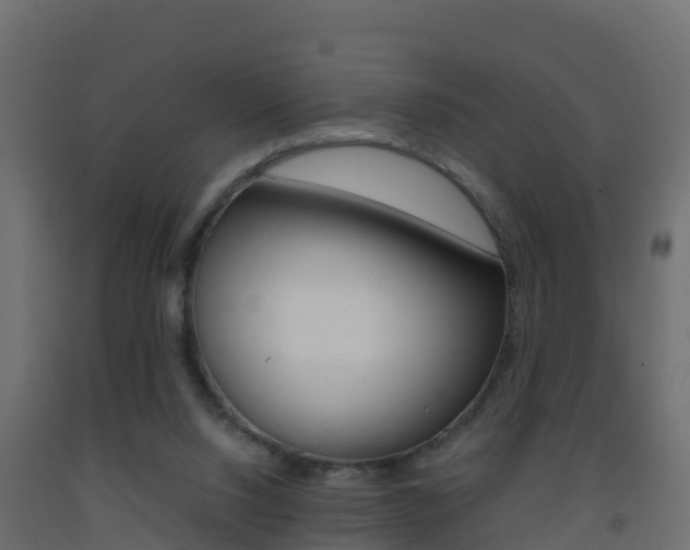 X0000093410064200710120924