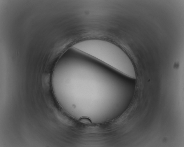 X0000093410066200710120924