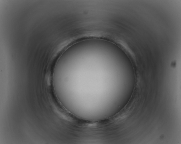 X0000093410068200710120924