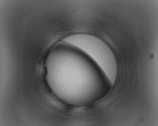 X0000093410072200710120924