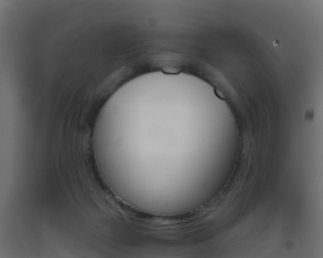 X0000093410073200710120924