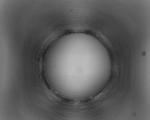 X0000093410074200710120924