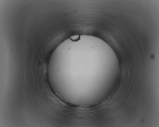 X0000093410077200710120924