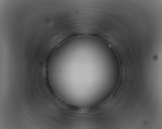 X0000093410080200710120924