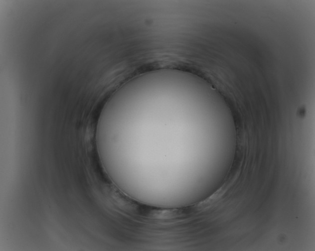 X0000093410082200710120924