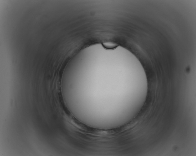 X0000093410083200710120924