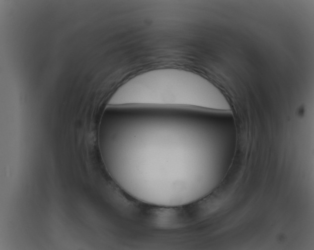 X0000093410085200710120924