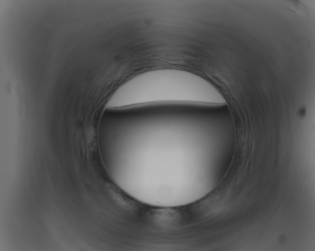 X0000093410087200710120924