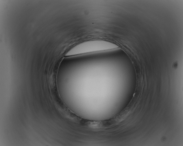 X0000093410088200710120924