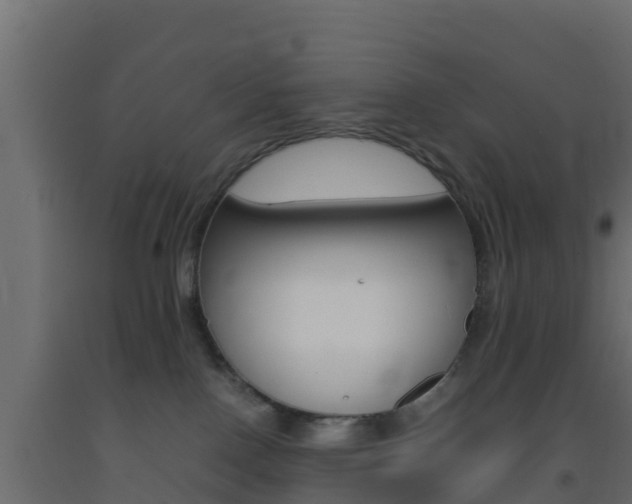 X0000093410090200710120924