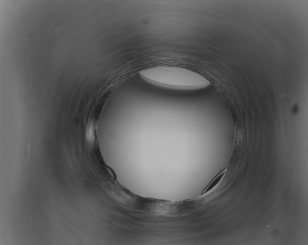 X0000093410094200710120924
