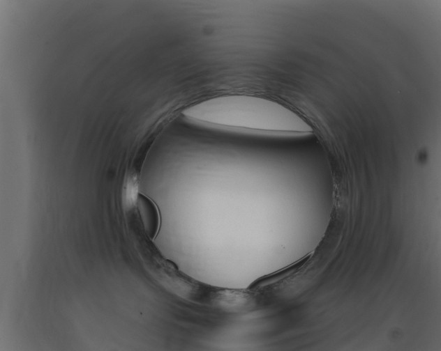 X0000093410095200710120924
