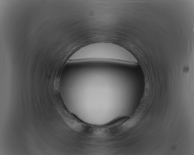 X0000093410096200710120924