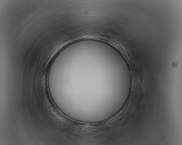 X0000093410098200710120924