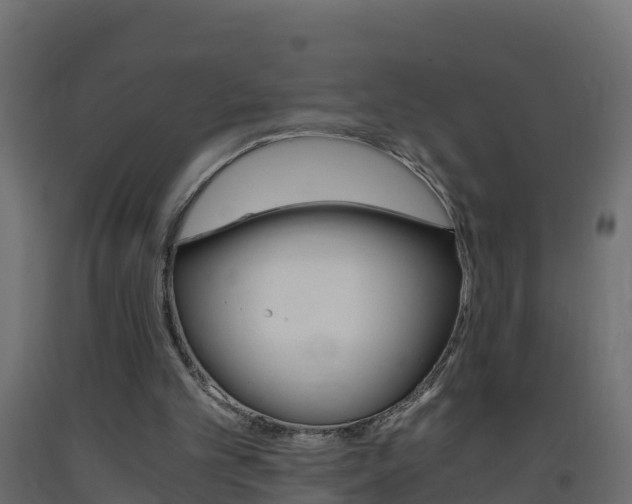 X0000093410101200710120924