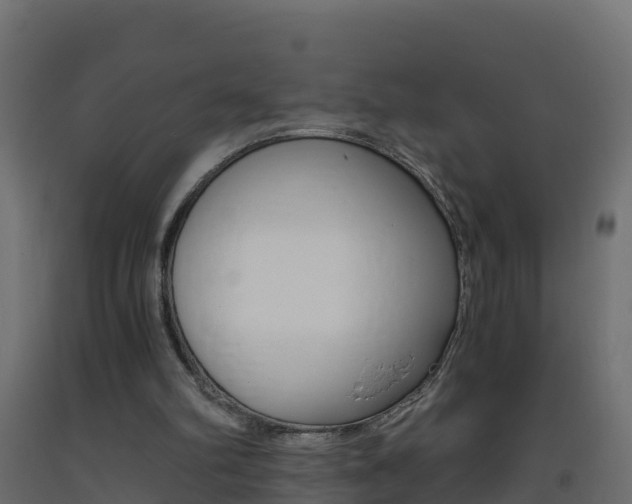 X0000093410102200710120924