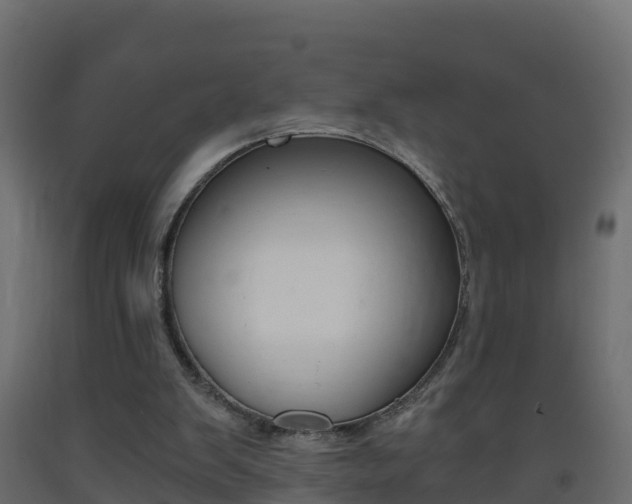 X0000093410103200710120924