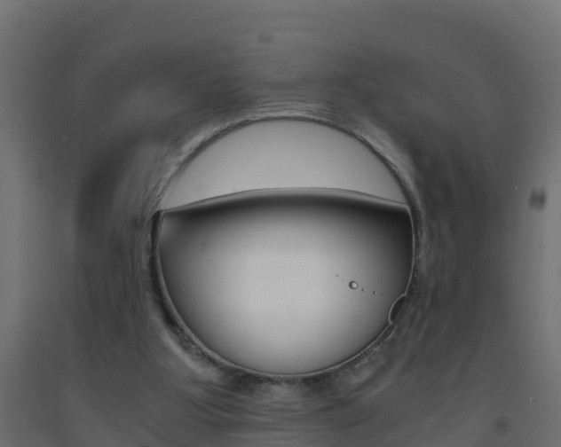 X0000093410107200710120924