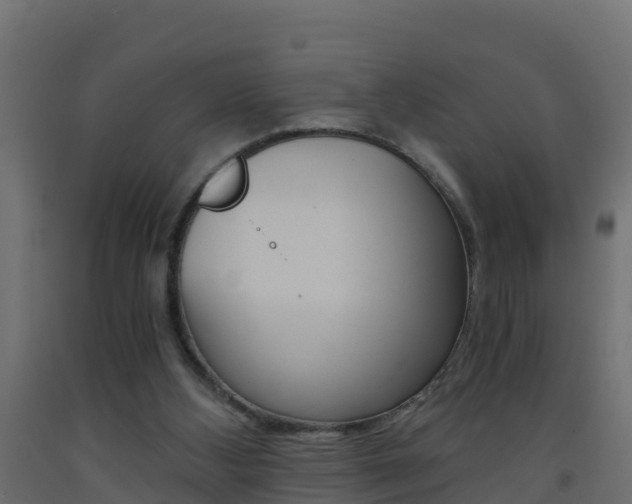 X0000093410108200710120924