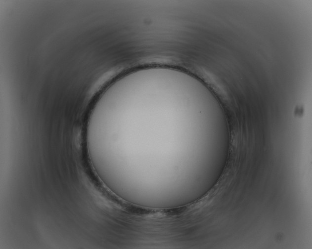 X0000093410112200710120923