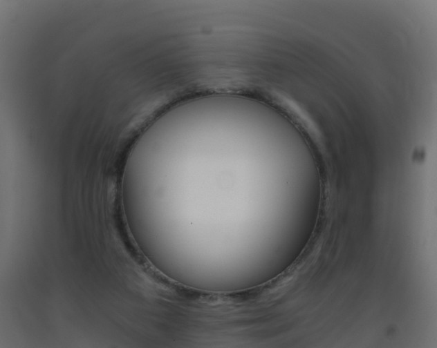 X0000093410113200710120923