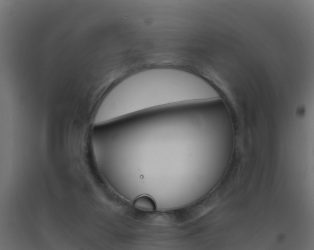 X0000093410115200710120923