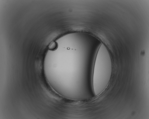 X0000093410116200710120923