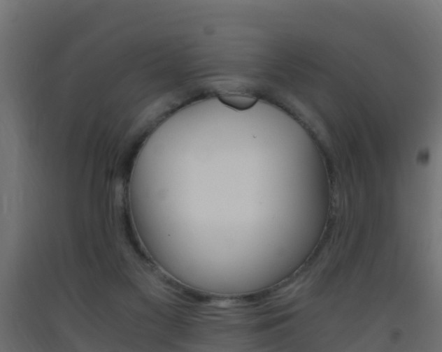 X0000093410117200710120923