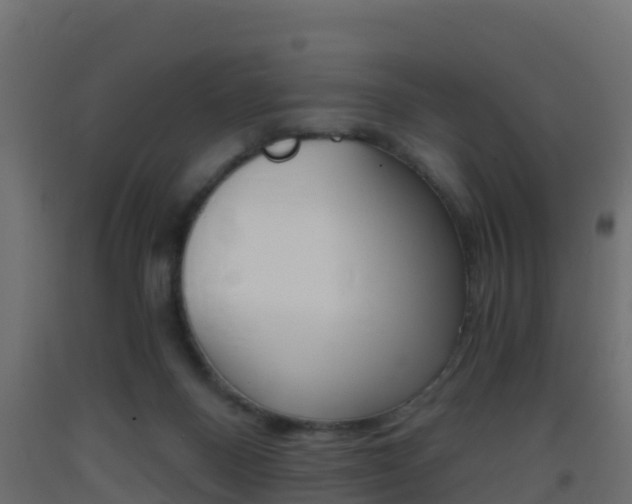 X0000093410120200710120923