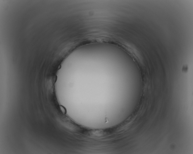 X0000093410121200710120923