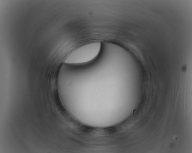 X0000093410123200710120923