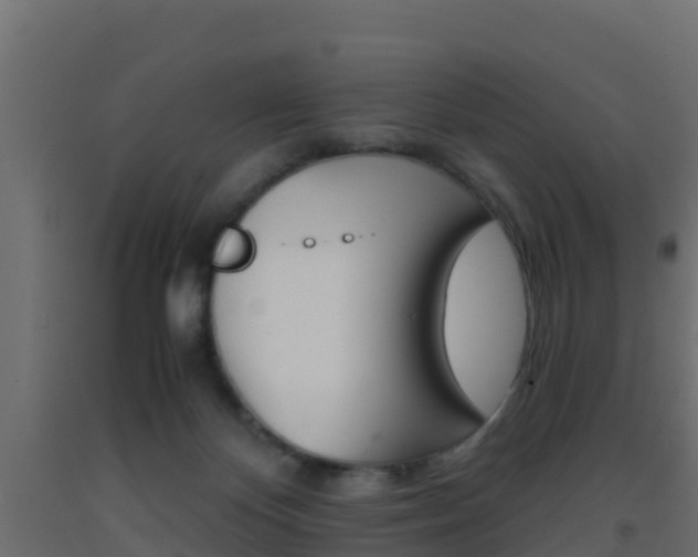 X0000093410124200710120923
