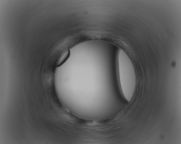 X0000093410125200710120923
