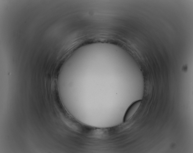 X0000093410126200710120923