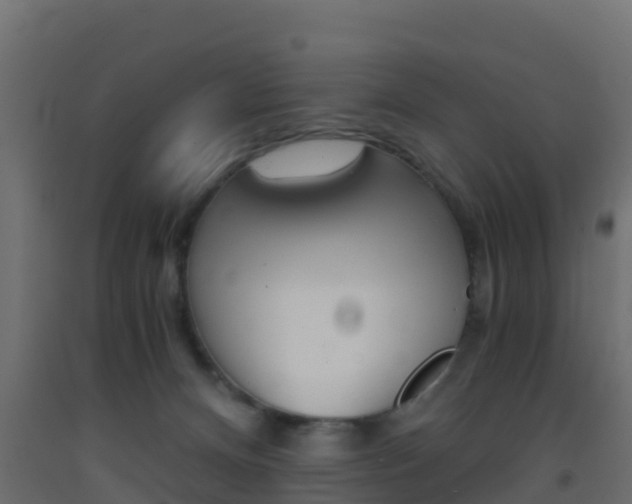 X0000093410128200710120923