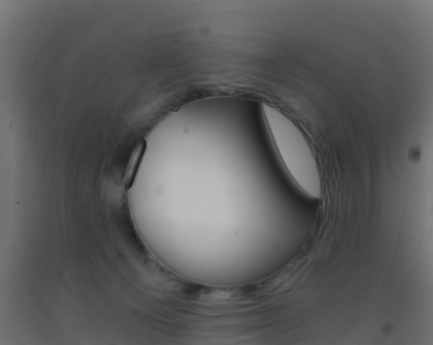 X0000093410129200710120923