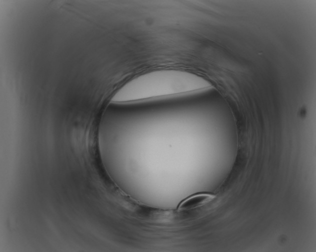 X0000093410131200710120923