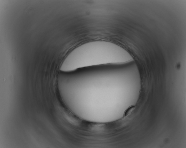 X0000093410132200710120923
