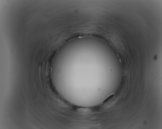 X0000093410133200710120923