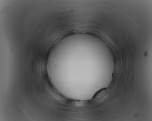 X0000093410134200710120923