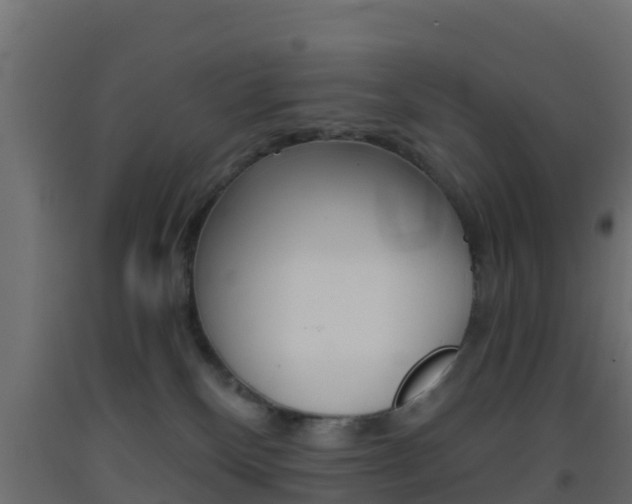 X0000093410136200710120923
