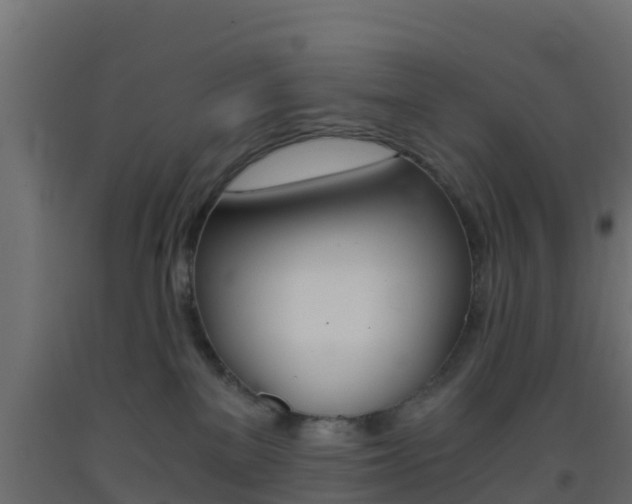 X0000093410137200710120923