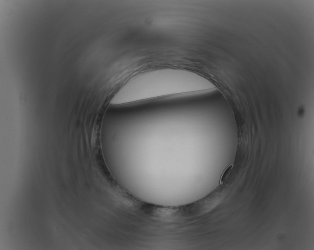 X0000093410139200710120923