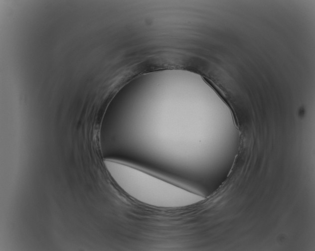 X0000093410141200710120923